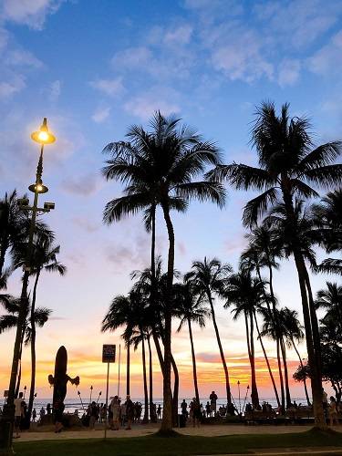 現地JCBスタッフが撮影『ハワイを感じる景色』 サンセット（夕日